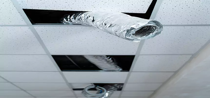 Affordable HVAC Sanitizing After Pest Removal in Milledgeville