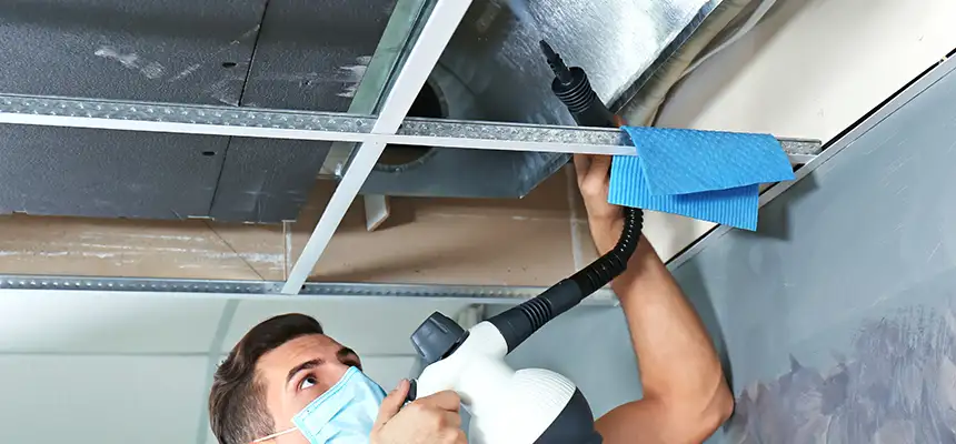 Our Air Duct Rodent Removal Services in Milledgeville, GA