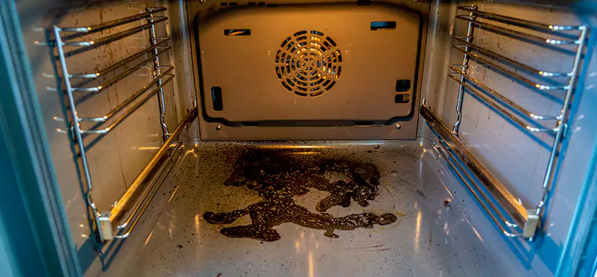 Our Dryer Vent Mold Cleaning Services in Milledgeville, GA