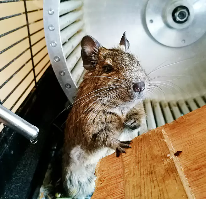 Why Homeowners & Businesses Trust Us Milledgeville, GA