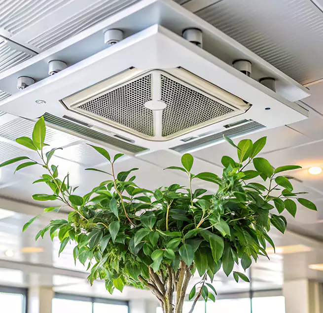 Why Homeowners & Businesses Trust Us in Milledgeville, GA?